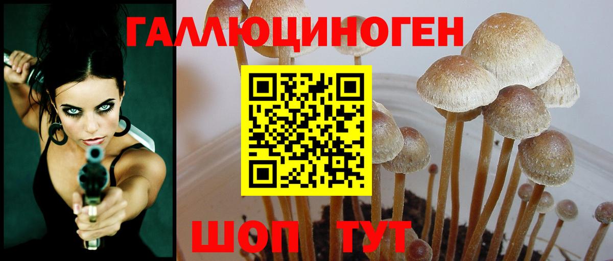 Галлюциногенные грибы мицелий Кострома